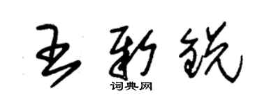 朱錫榮王新銳草書個性簽名怎么寫