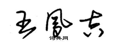 朱錫榮王鳳吉草書個性簽名怎么寫
