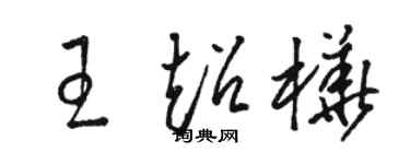 駱恆光王超樺草書個性簽名怎么寫