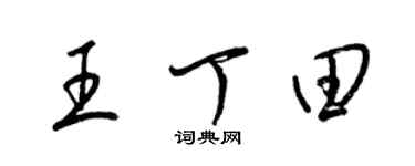 梁錦英王丁田草書個性簽名怎么寫