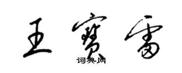 梁錦英王寶雷草書個性簽名怎么寫