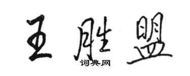 駱恆光王勝盟行書個性簽名怎么寫