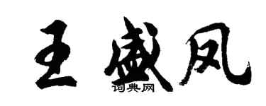 胡問遂王盛鳳行書個性簽名怎么寫