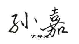 駱恆光孫嘉行書個性簽名怎么寫