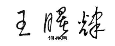駱恆光王曙輝草書個性簽名怎么寫