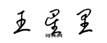 梁錦英王星里草書個性簽名怎么寫