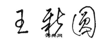 駱恆光王新圓草書個性簽名怎么寫