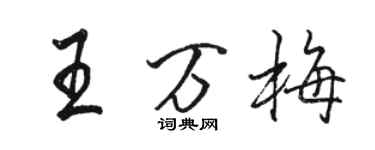 駱恆光王萬梅行書個性簽名怎么寫