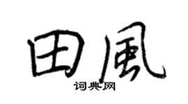 王正良田風行書個性簽名怎么寫