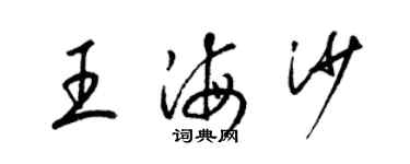 梁錦英王海沙草書個性簽名怎么寫