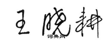 駱恆光王曉耕草書個性簽名怎么寫