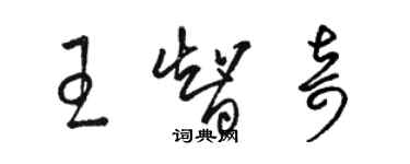 駱恆光王智奇草書個性簽名怎么寫