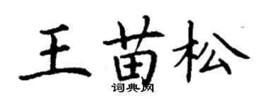丁謙王苗松楷書個性簽名怎么寫