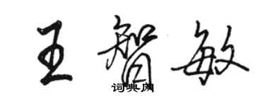 駱恆光王智敏行書個性簽名怎么寫