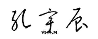 梁錦英孔宇辰草書個性簽名怎么寫