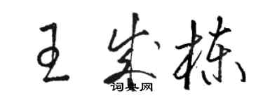 駱恆光王成棟草書個性簽名怎么寫