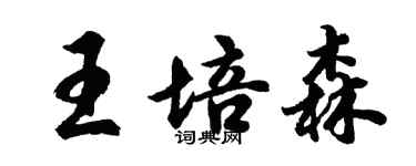胡問遂王培森行書個性簽名怎么寫