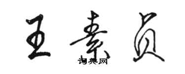 駱恆光王素貞行書個性簽名怎么寫