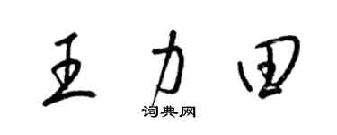 梁錦英王力田草書個性簽名怎么寫