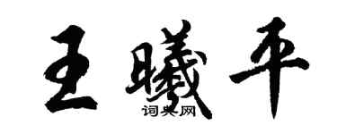 胡問遂王曦平行書個性簽名怎么寫