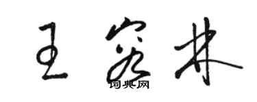 駱恆光王容林草書個性簽名怎么寫