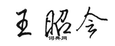 駱恆光王昭會行書個性簽名怎么寫