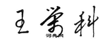 駱恆光王榮科草書個性簽名怎么寫