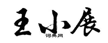 胡問遂王小展行書個性簽名怎么寫