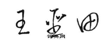 駱恆光王聖田草書個性簽名怎么寫