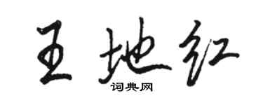駱恆光王地紅行書個性簽名怎么寫