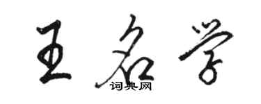 駱恆光王名學行書個性簽名怎么寫