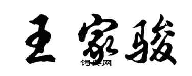 胡問遂王家駿行書個性簽名怎么寫