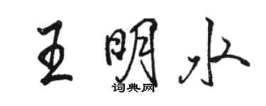 駱恆光王明水行書個性簽名怎么寫