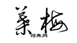 曾慶福葉梅草書個性簽名怎么寫