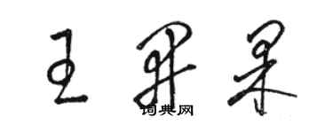 駱恆光王開果草書個性簽名怎么寫