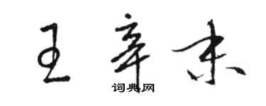 駱恆光王辛末草書個性簽名怎么寫