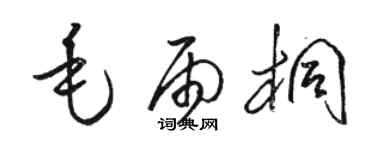 駱恆光毛雨桐草書個性簽名怎么寫