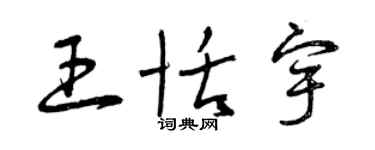 曾慶福王恬宇草書個性簽名怎么寫