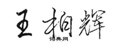 駱恆光王柏輝行書個性簽名怎么寫
