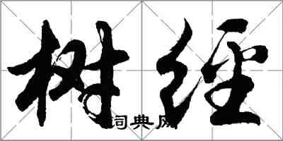 胡問遂樹經行書怎么寫