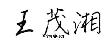 王正良王茂湘行書個性簽名怎么寫