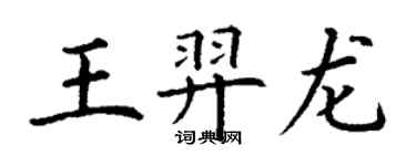 丁謙王羿龍楷書個性簽名怎么寫