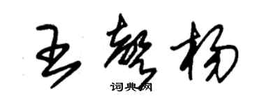 朱錫榮王聲楊草書個性簽名怎么寫