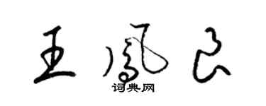 梁錦英王鳳良草書個性簽名怎么寫