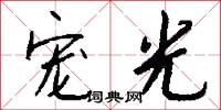 瞻葛的意思_瞻葛的解釋_國語詞典
