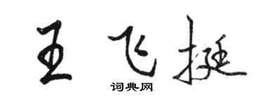 駱恆光王飛挺行書個性簽名怎么寫