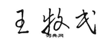 駱恆光王牧民草書個性簽名怎么寫