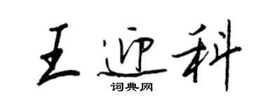 王正良王迎科行書個性簽名怎么寫