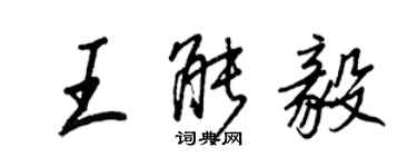 王正良王能毅行書個性簽名怎么寫