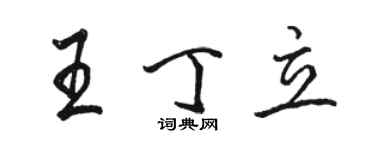 駱恆光王丁立行書個性簽名怎么寫